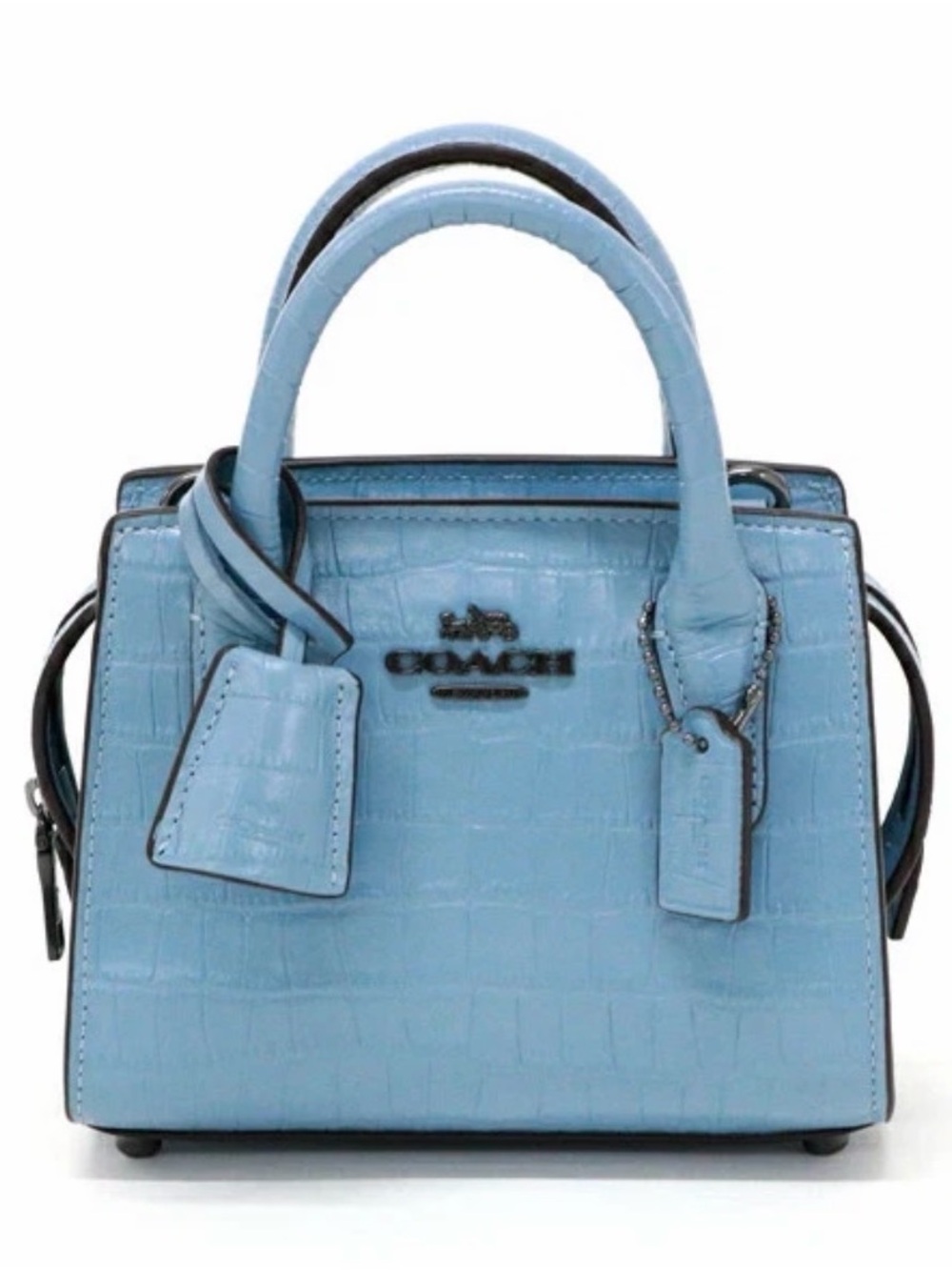 NWT COACH Andrea Mini Crossbody Bag